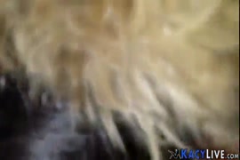 Gay dando o cu pra cachorro xvideos
