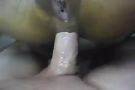 Videos pornos insanos brasileiros