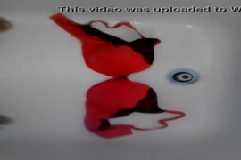 Xvideos pornô p